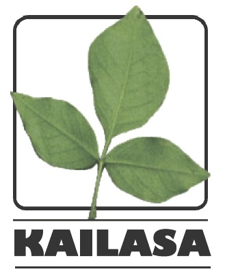 Kailasa International Logo